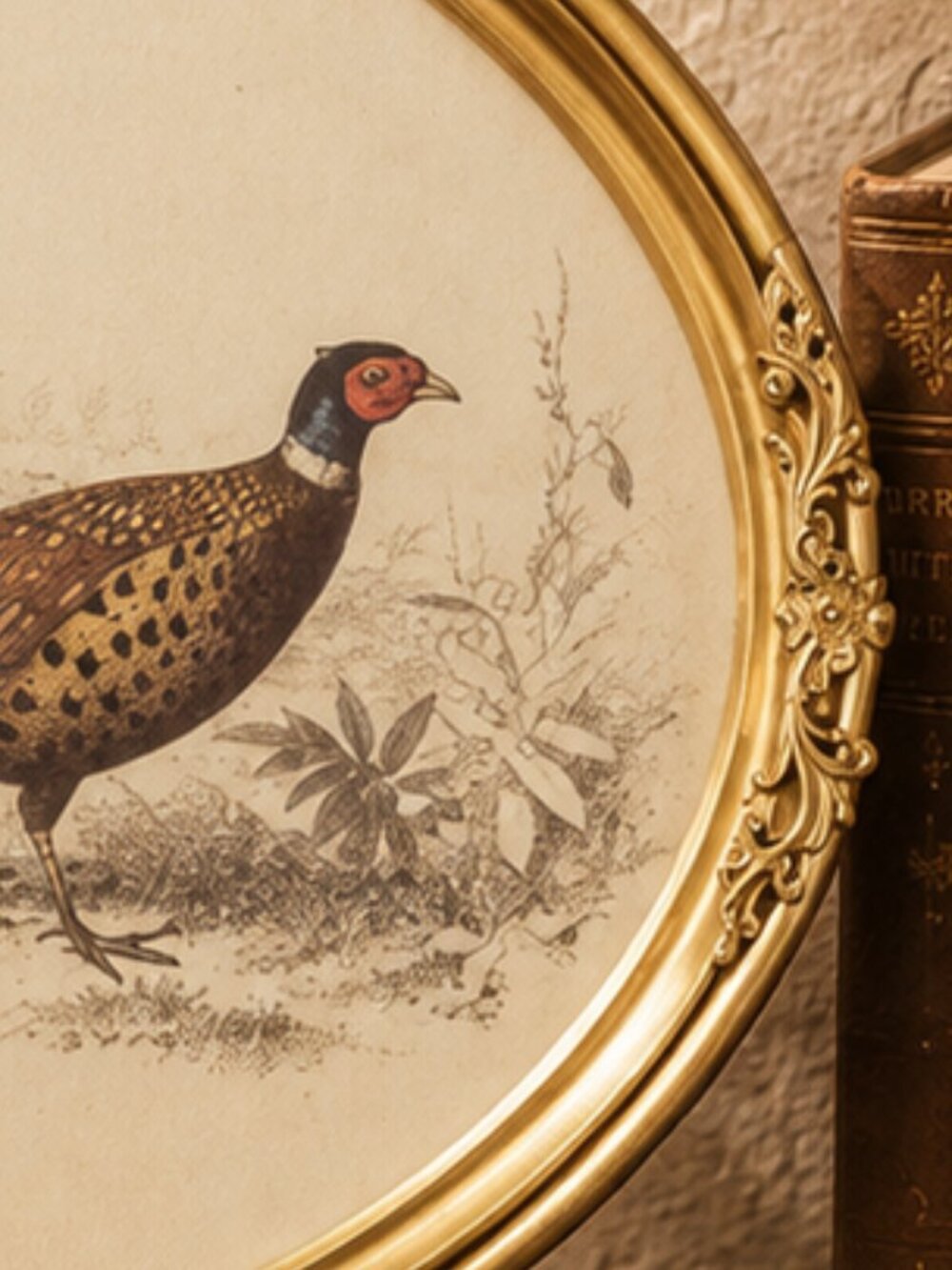 Vintage Oval Ornate Framed Pheasant Wall Art Print - Picture 6 of 8